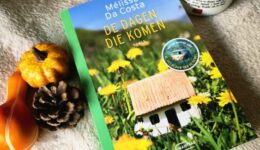 WhatsApp Image 2025-10-27 at 17.06.01